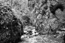 Tenna Creek Texture